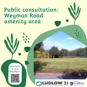 Ludlow Town Council Launches Public Consultation on Proposed Community Orchard in Weyman Road