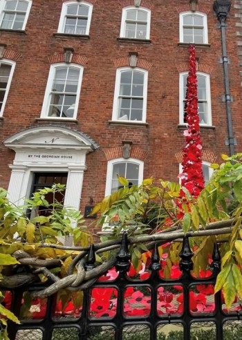 Ludlow’s Community Poppy Waterfall Unveiled in Remembrance