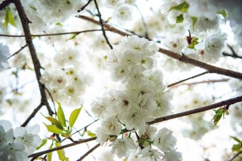 Ludlow Submits Ambitious Bid to Become Town of Culture 2028