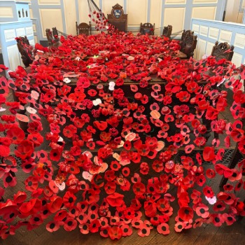 Ludlow Invited to Help Grow This Year’s Remembrance Poppy Display