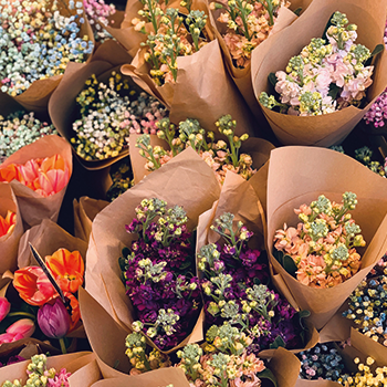 Craft and Country Market