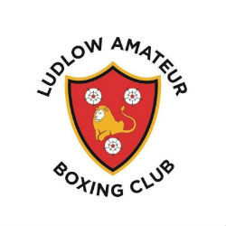 Boxing club logo