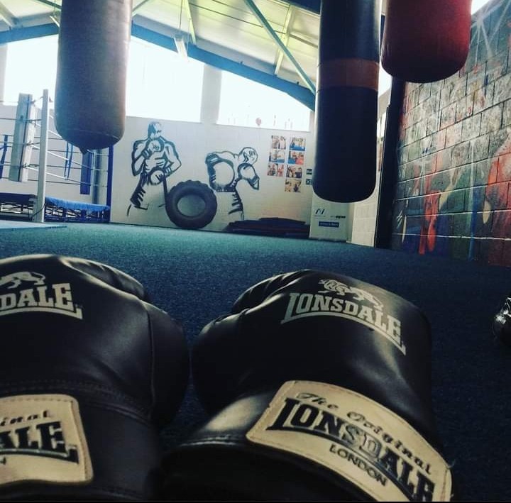 a close up image of a pair of boxing gloves, with a ring situated in the backround